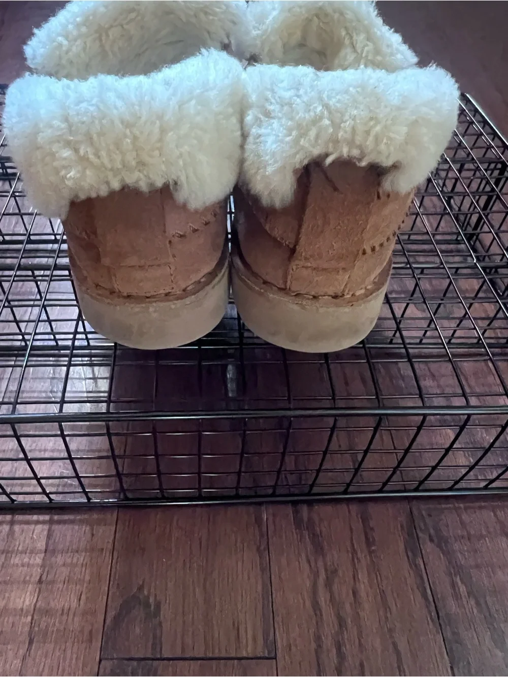 UGG Women's Chestnut Suede Ankle Booties with Cream Shearling